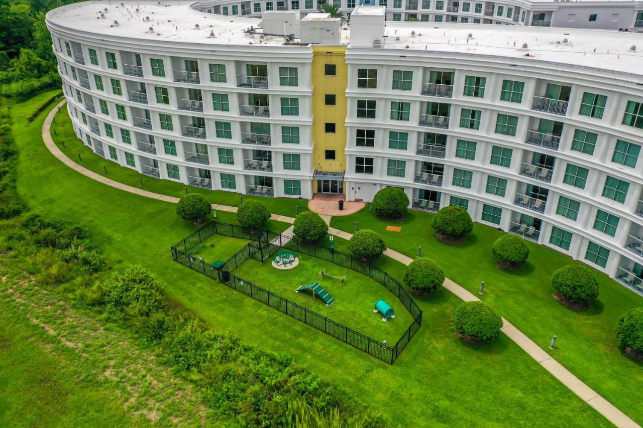 סלבריישן Pet Friendly In Orlando Area Near Disney מראה חיצוני תמונה